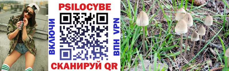 Галлюциногенные грибы Magic Shrooms  Котельники 